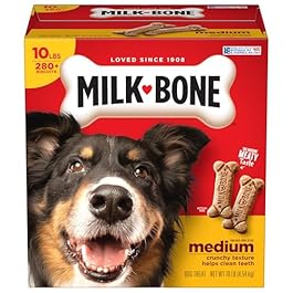Milk-Bone Original Dog Treats Biscuits for Medium Dogs, 10 Pound