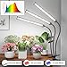 GooingTop Grow Light LED Gooseneck Lamp,Triple-Head Full Spectrum 222 LED Plant Lamp with Red Blue Light Clip-on Desk for Indoor Plants Growing,Diming & Auto Timer