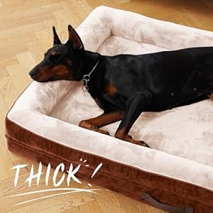 X-Large Orthopedic Dog Bed, Egg Foam Dog Couch with Removable Washable Cover, Waterproof Pet Sofa Bed with Non-Slip Bottom and Four-Sided Bolster Cushion, Brown Dog Beds for Large Sized Dog