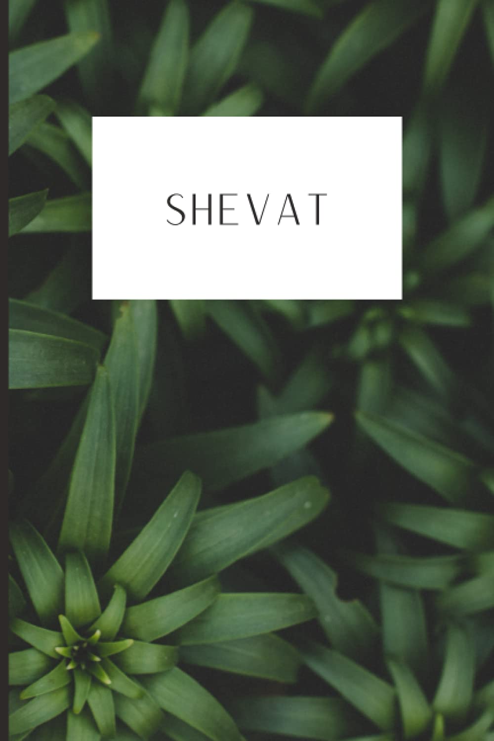 Hebrew Month Prayer Journal: Shevat: Paperback, 120 Pages (Hebrew Month Prayer Journal: Spiritual Growth Series (Set of 12 Journals))
