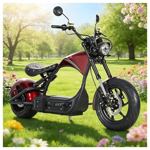 eAhora (2025 Upgraded) M1P Pro 4000W 50MPH Electric Motorcycle for Adults 55 Miles 60V 42AH 2 Persons Ebike Dual Battery 110Miles Electric Bike Dual Hydraulic Brake Street Legal Electric Motorcycle