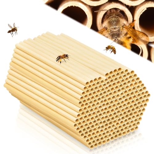 Insektenhotel Füllmaterial 300 STK Niströhren für Wildbienen 15cm Lang Nisthülsen für Insektenhotel Wildbienenhotel Weizenhalme Insektenhotel Bausatz für Bienenhotel Wildbienenhotel Bienenhaus
