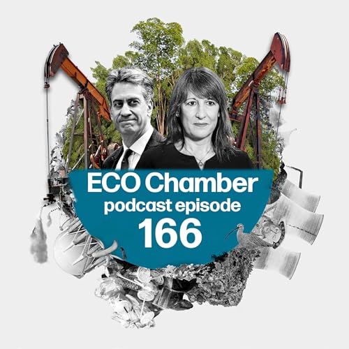 COP, out: Climate summit key takeaways as UK budget looms