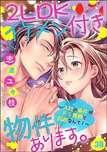 2LDKイケメン付き物件あります。~入社の条件がドS専務と同居なんて!~(分冊版) 【第38話】 (蜜恋ティアラ)