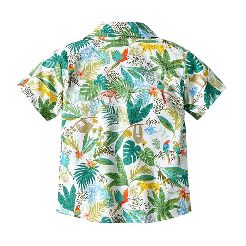 Toddler Boys Hawaiian Shirt Kids Short Sleeve Button Down T Shirts Little Boy Beach Clothes Print Aloha Tops 1-7 Years2