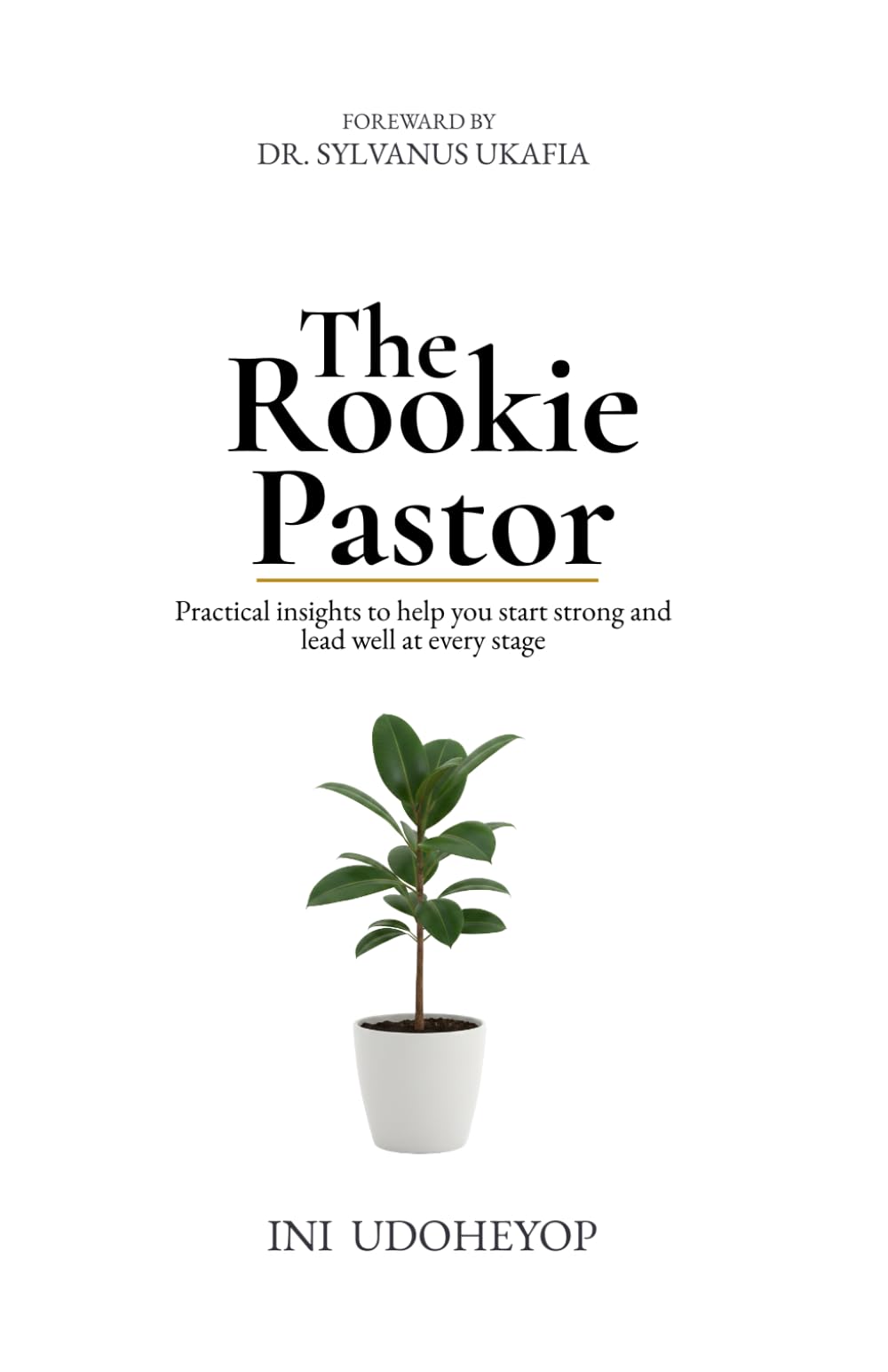The Rookie Pastor: Practical insights to help you start strong and lead well at every stage