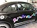 40 Car Flowers Daisy Bright Rainbow SET sticker Decals VW Boat Golf Cart Kayak USA