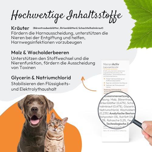 PHA NierenActiv Tropfen für Hunde & Katzen - Pflanzliche Unterstützung zur Vorbeugung von Nierenproblemen, REGT den natürlichen Harnfluss an, mit Birkenblättern, Schachtelhalmkraut & Wacholderbeeren