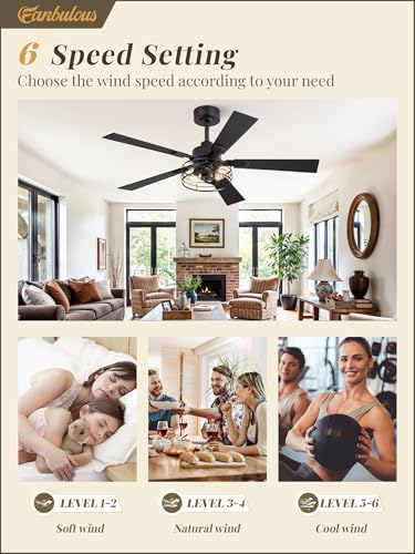 Image of Fanbulous 48 Inch Farmhouse Rustic Ceiling Fan with Light & Remote