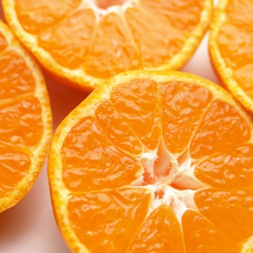 四国みかん 小玉 S~L 約 7 kg 温州みかん 安心の自社検 徳島 愛媛 高糖度 極早生 晩成 みかん 国産 国産みかん ご家庭用 みかん ご自宅用 果物 くだもの