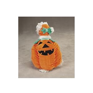   Zack-Zoey-Pumpkin-Pooch-Dog-Costume-X-Large-Orange