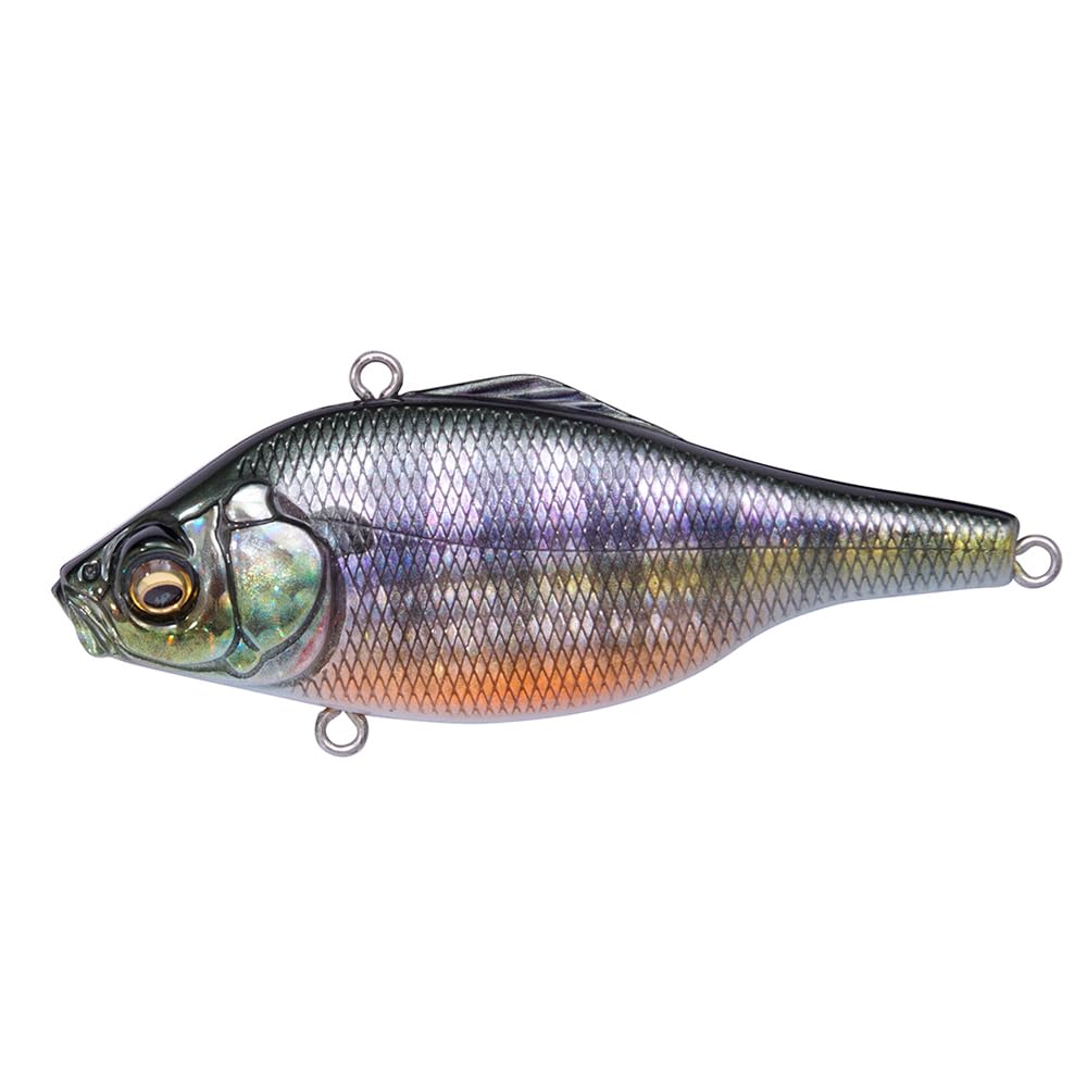Amazon.co.jp: メガバス(Megabass) VIBRATION-X ULTRA(RATTLE IN) FA