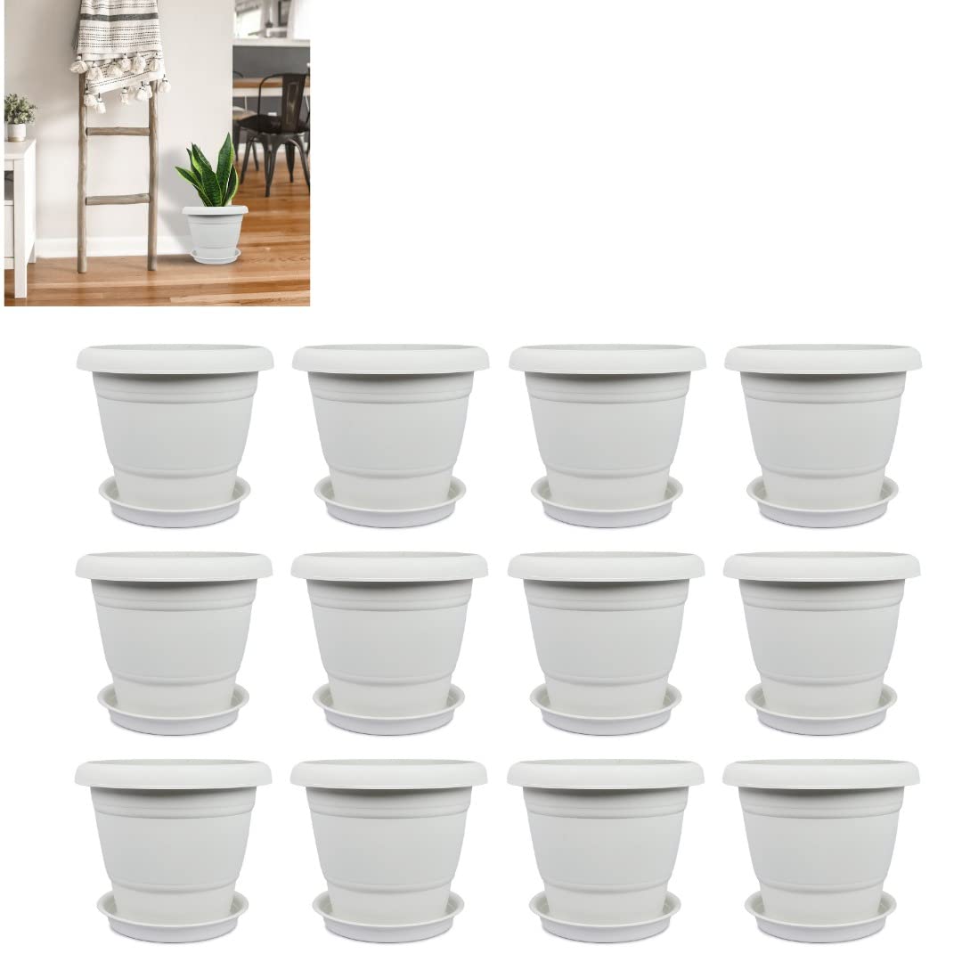 See full amazon price history chart for spylark™ Heavy Duty Premium Plastic Planter Pots with Bottom Tray (White) | Plant Pot Set for Home Garden and Nursery| 12inch | Set of 12 spylark™ Heavy Duty Premium Plastic Planter Pots with Bottom Tray (White) | Plant Pot Set for Home Garden and Nursery| 12inch | Set of 12 (B0B18GC8R1) Amazon Price History, Amazon Price Tracker