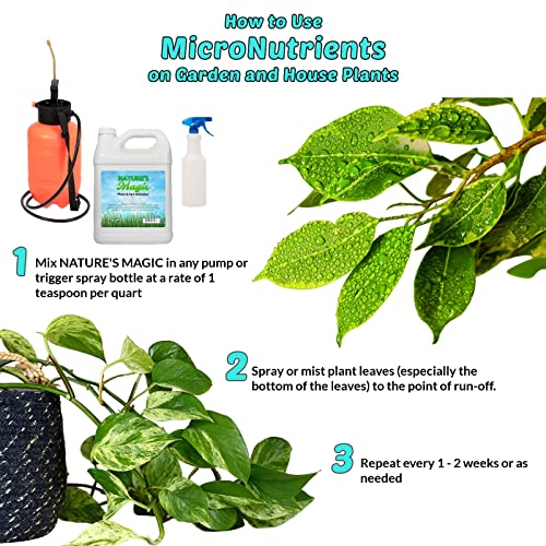 Best Pet Safe Lawn Fertilizers For Every Need On