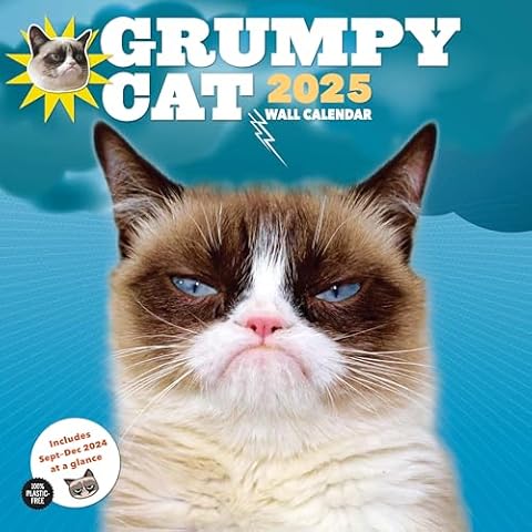 Grumpy Cat 2025 Wall Calendar Cover