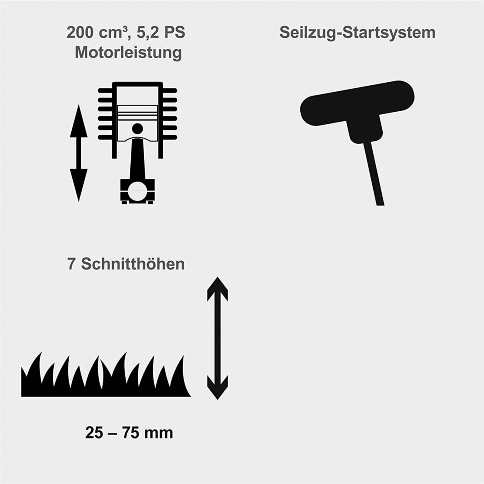 Scheppach Rasenmäher Benzin MS197-51B Trike mit Antrieb | 6in1 Funktionen | 4-Takt Motor / 5,2PS Leistung / 200 CCM | 51cm Schnittbreite | 65L Fangkorb | 7-Fach Schnitthöhenverstellung 25-75mm
