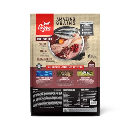 Image of ORIJEN Amazing Grains WHOLEPREY Dry Dog Food Small Breed 10lb Bag | WHOLEPREY Ingredients, Made in the USA, Includes Probiotics, Omega-3 Fatty Acids, Skin & Coat, Digestive Health
