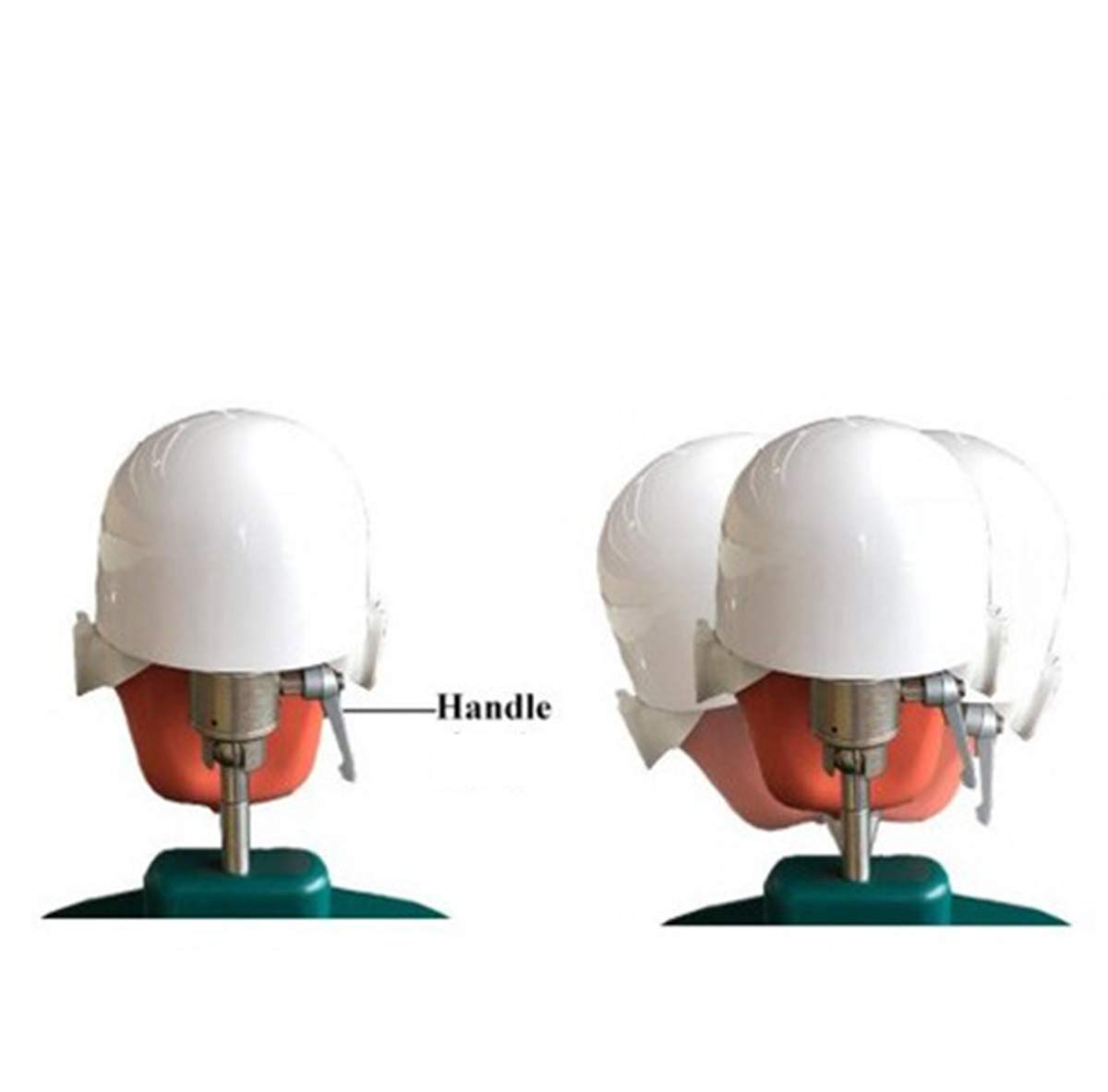 Testa di manichino simulatore per addestramento, Modello di manichino odontoiatrico, Vassoio odontoiatrico con Modello di Denti per addestramento di Dentisti e assistenti odo