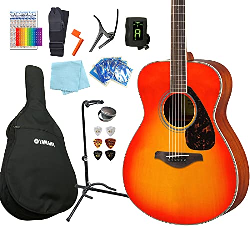 }n M^[ AR[XeBbNM^[ S  13_ Zbg YAMAHA FS820 AB [98765] yi㔭ňSz