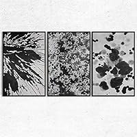 SIGNWIN 3 Piece Framed Canvas Wall Art Black and White Flower Canvas Prints Home Artwork Decoration for Living Room,Bedroom - 16