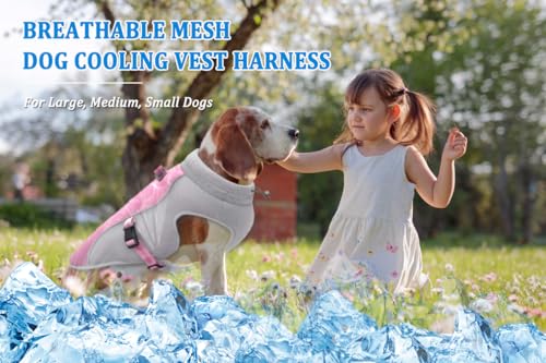Sommer Hund Kühlweste Geschirr Atmungsaktive Mesh Hund Kühler Jacke Kühle Bequeme Hundemantel Einstellbar Mit Reflektierenden Streifen Für Kleine Mittlere Große Hunde Im Freien Laufen Wandern Klettern