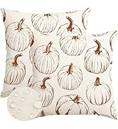 RABUSOFA Fall Pillow Covers 18x18 inch Set of 2 Outdoor Waterproof Fall Decorations Orange Lines ...
