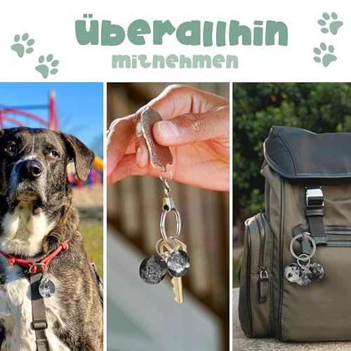 Meinearmbänder Personalisierte Hundemarke mit Foto – ⌀30mm Runder Hundeanhänger aus Edelstahl in Silber – Mit Gravur/Text oder Adresse auf der Rückseite – Robuster ID-Tag für Hunde
