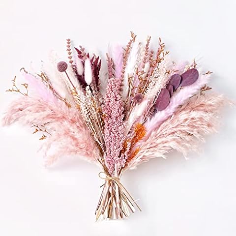 MUYEJI Natural Dried Pampas Grass Bouquet Cover
