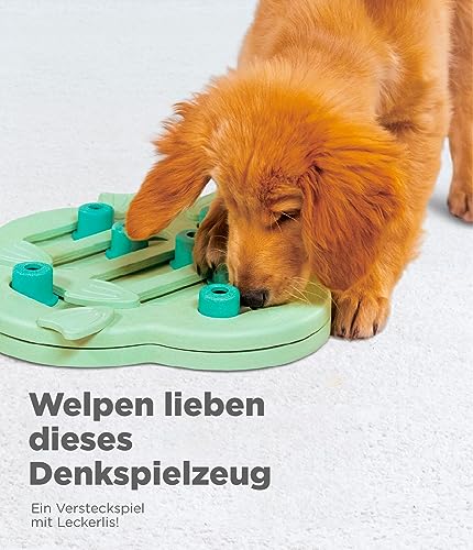 Outward Hound Nina Ottosson Puppy Hide n' Slide - Interaktives Leckerli-Denkspielzeug für Hunde - Grün