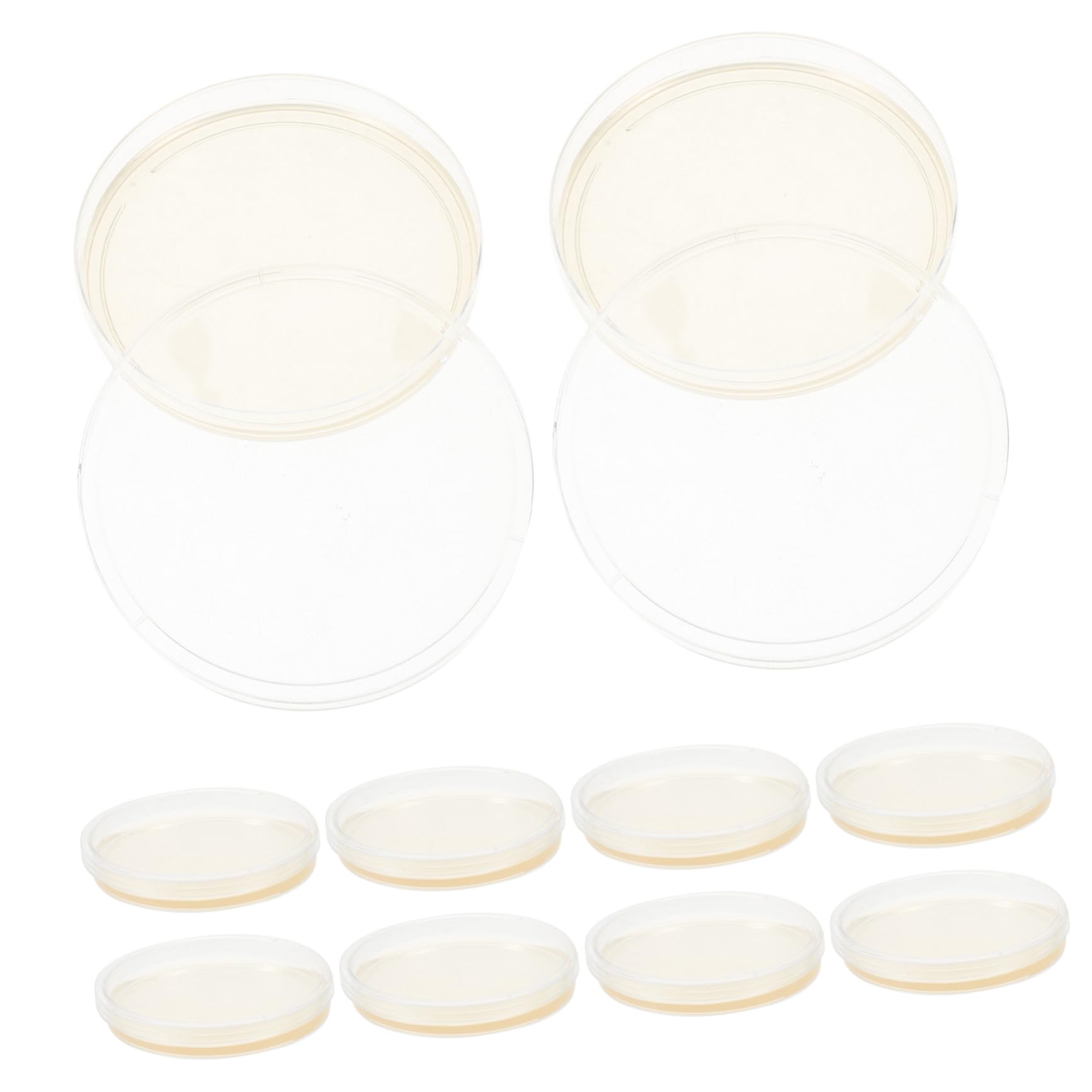 NAMOARLY 10pcs Agar Dishes for Mycology Science Petri Dishes Mold Plates Agar Plates