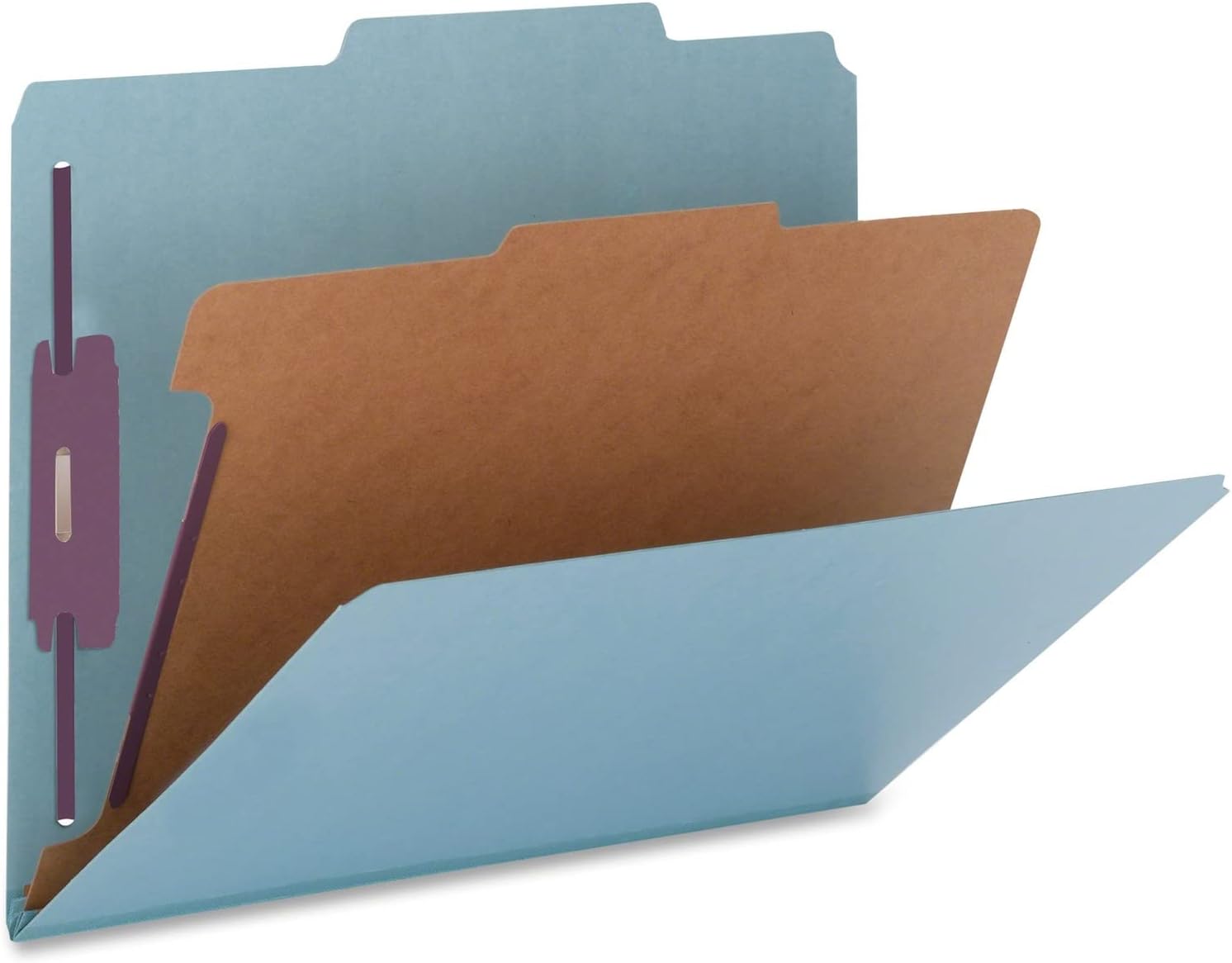 SP17219 Classification Folders,1 Div, 2-Inch Exp., Legal,10/BX, BE
