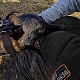 DINGO GEAR Miękki rękaw Nylcot Midi z mocnym uchwytem i uchwytem wewnątrz osłony przed gryzieniem do IGP, sportu, treningu psów, czarny, poziom gryzienia 3 - zaawansowany (S01965)