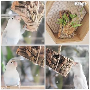 z6　コルク薄切り　インコ　カジカジ ガジガジおもちゃ　バードトイ　破壊系 Amazon | 小鳥のための天然コルク 1個入り 鳥用 破壊系おもちゃ
