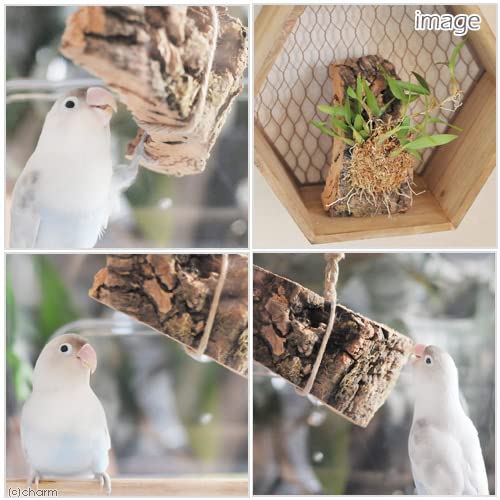 鳥おもちゃ　インコおもちゃ　少し長めの破壊系おもちゃ　バードトイ Amazon | 小鳥のための天然コルク 1個入り 鳥用 破壊系おもちゃ