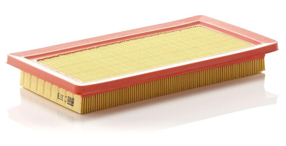 MANN-FILTER C 3173 Filtro Aria Auto: Protezione Motore Di Primo Equipaggiamento
