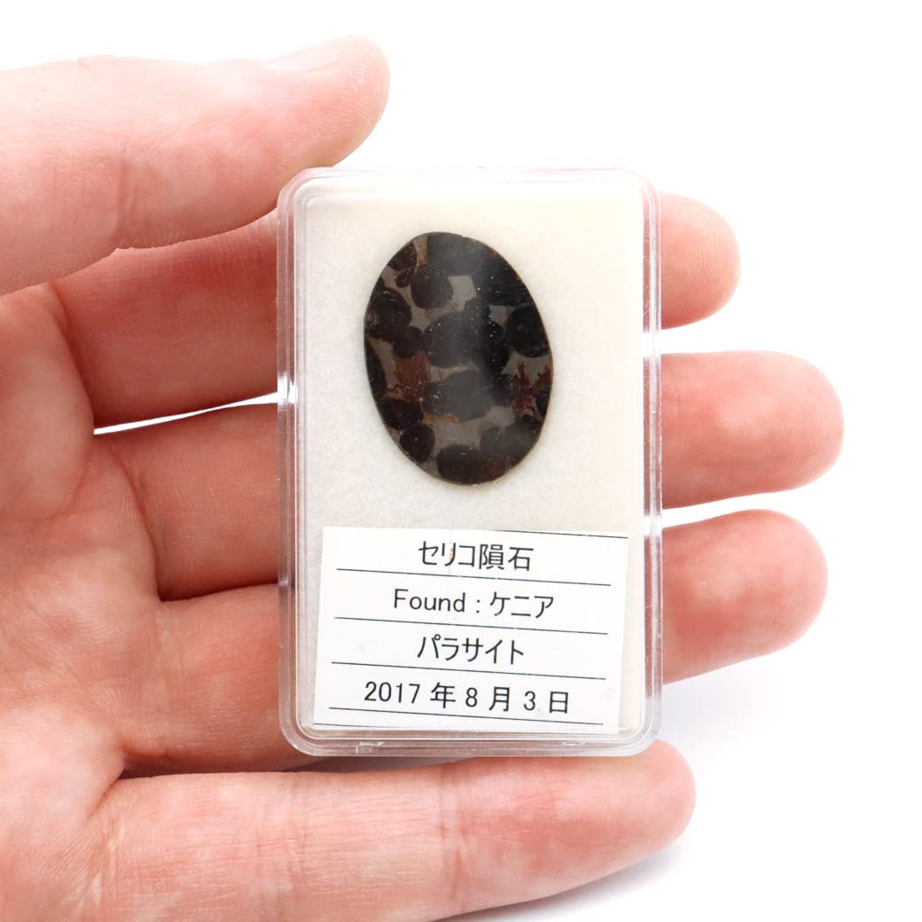 Amazon.co.jp: [GOLD STONE] パラサイト隕石 ケニア セリコ産