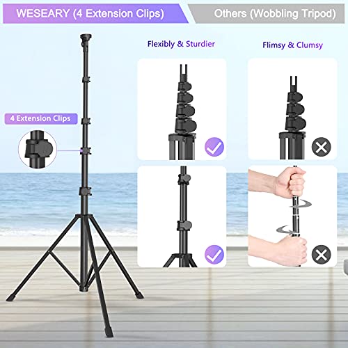 WESEARY 12" Ringlicht mit Stativ Handy - Selfie Licht Ringleuchte mit 63 Zoll Robust Stativ - Ring Light Phone Tripod mit 3 Farbe Und 10 Helligkeitsstufen für Tiktok Streaming Video – Bild 4