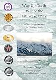 MainSpring Books