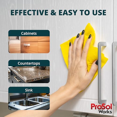 PROSOL WORKS RV Interior Cleaner