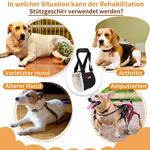 Verstellbare Hunde-Tragehilfe, Tragbarer Tragegurt zur Rehabilitation für behinderte, verletzte oder ältere Hunde - Hundegeschirr als Gehhilfe für kleine und große Hunde