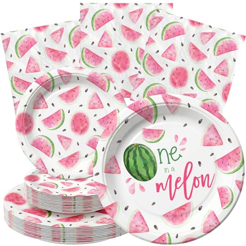 Watermelon Birthday Party Supplies for 40 Guests One in a Melon Plates and Napkins Set Summer Fruit Party Decorations