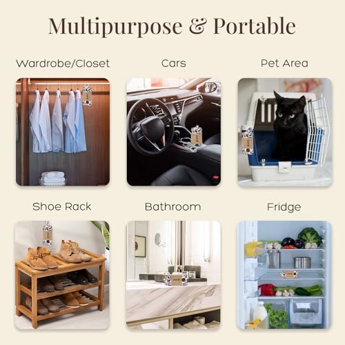 Image of Charcoal Air Purifier (Tropical Bloom) - Non-Electric, Reusable Odor & Moisture Absorber with Coconut Shell Charcoal for Home, Car, Closet & Office. (400gm & 250g), Combo of 2