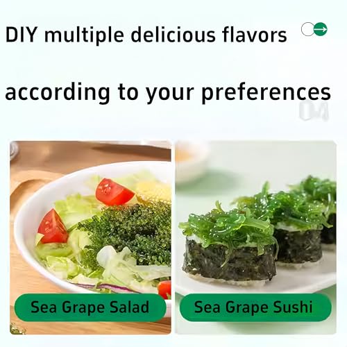 Sea Grapes (100 g * 3 Packungen) – grüner Kaviar, Beilagen, Instant-Gemüsegurken, Hot Pot-Zutaten Algen-Seetrauben zum Essen von köstlichem Kimchi Meerestrauben als Algen Snack