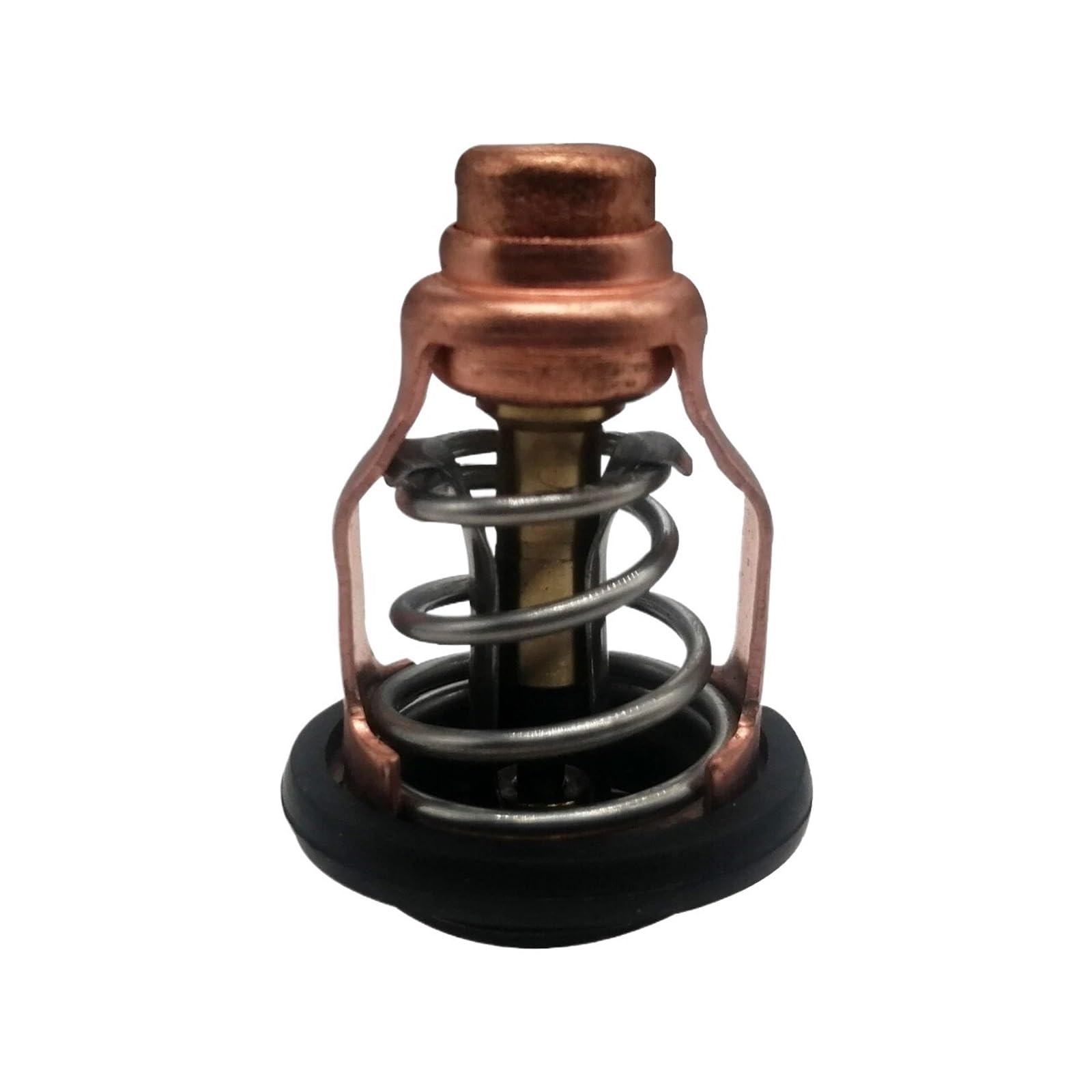 Thermostat for Moteurs Hors-Bord FX-HO/FX140/FZR/FZS/FX-SHO/AR192/SX192 60E-12411-01-00
