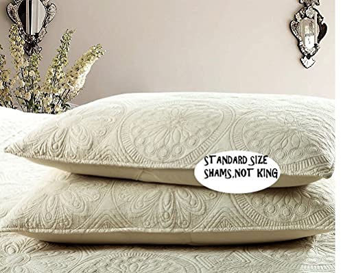 Brandream Beige Quilts Cotton Farmhouse Quilted Comforter Set Queen Size Matelasse Quilt Coverlet Set Luxury Bedspreads 3-Piece #TOP5