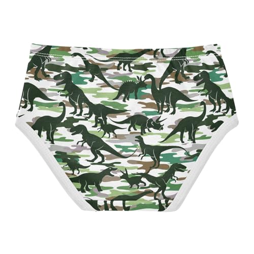 Dinosaurs Camouflage Toddler Girls's Underwear 2T 202c18972