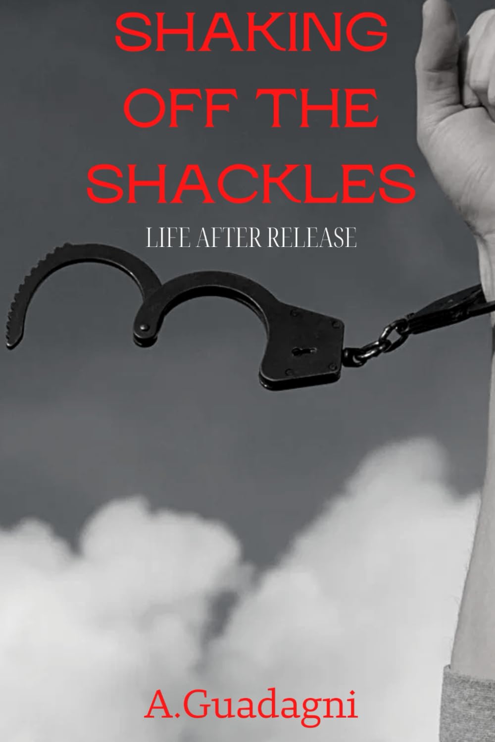 Shaking Off the Shackles: A Guide to Reclaiming Your Life After Incarceration