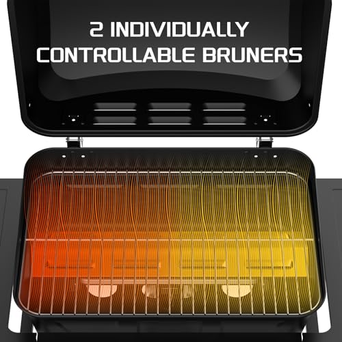 Topwish Gasgrill 2 Brenner,Gasgrill,Gasgrill klein,Gasgrill Balkon, Outdoor Grill,Grillwagen,Maße 106.44 * 55.6 * 103.85, geeignet für FR,IT,LU,ES,BE,6.0 kW