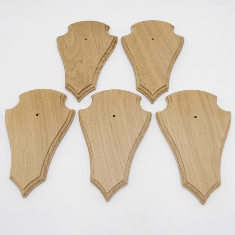 REH - Placas de trofeos (5 unidades, 21 x 13 cm, en punta, tamaño grande, roble claro, con 1 compartimento de pino)