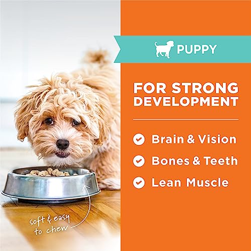 Instinct-Puppy-Freeze-Dried-Raw-Meals-Natural-Dry-Dog-Food-Grain-Free-Cage-Free-Chicken-95-oz-Bag Instinct Puppy Freeze Dried Raw Meals Natural Dry Dog Food Grain Free Cage Free Chicken 95 oz Bag